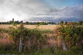 Browse more popular ideas on houzz. Rural Landscape Stock Photo Stockfuel