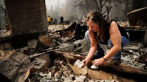 All five of the state's largest. Wildfires 2021 Why Fire Is Our Best Tool Against Megafires Vox