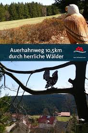 Auerhahnweg Schwarzwalder Geniesserpfad In Schramberg Tennenbronn Schwarzwald Tourismus Wandern Schwarzwald Schwarzwald