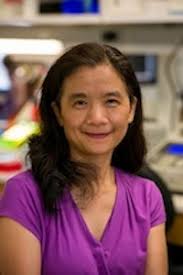 The Center for the Genetics of Host Defense UTSW-Members