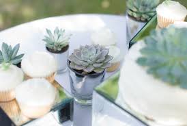 Suculentas y cactus , son plantas de la misma especie , los cactus son una especie de planta suculenta , aqui le damos algunos consejos. Centros De Mesa Para Bodas En La Playa Cactus Y Suculentas