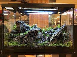 21 Best Aquascaping Design Ideas To Decor Your Aquarium Tips Inside Homelovers Ide Ide Buatan Sendiri