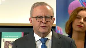 Five shining lights at Bull Sharks in 2019