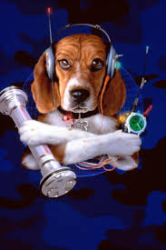 Cats & dogs / cast Lou Dog Cats And Dogs Dog Cat Cats Dogs