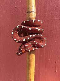 For Sale Jayapura Green Tree Python For Sale Morelia Viridis Faunaclassifieds Reptiles And Amphibians Cute Reptiles Reptiles
