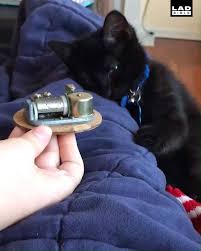 New atheists really love their internet memes. Ladbible Cat Loves Music Box Facebook