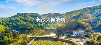 主仆调教play游戏18+在线观看,9.1成人免费看片,日本无码专区免费播放三区,久久永久免费人妻精品色,国产乱妇乱子视频在线播放网站,欧美黑人性猛交xxxx免费看,成人动漫亚洲在线观看,国产人妻换人妻仑乱电影,久久精品无码日韩国产不卡