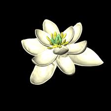 26 *all answers on final sensory organs: The Earliest Flower Ancestor Had Both Male And Female Parts The Verge