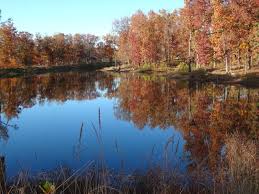 Quail Ridge Park Wentzville Mo Charles County Favorite Places Pemberton