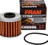FRAM Extra Guard CH6096 Motorcycle/ATV Replacement Oil Filter, Fits Select  Honda and Polaris Models