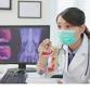 Interpreting a cancer diagnosis - New inclusion �... event in Port Macquarie NSW