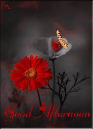 The dancer is really beautiful and has no grotesque tattoos and no. 160 Good Afternoon Ideas Good Afternoon Afternoons Good Afternoon Quotes