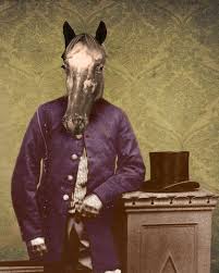 Lisa Howarth Horse Art Animal Art Art