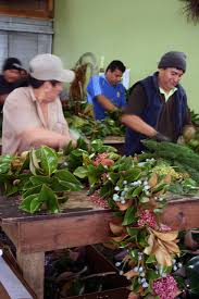 Dutchbaby: Pacific Coast Evergreen Wreaths and Garlands