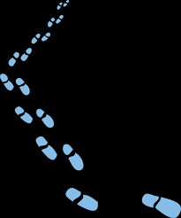Forum themen beiträge letzter beitrag; Https Kidneyresearchuk Org Christmasquizfinaldec20