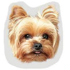 Ever wondered how terms like fur parents, hooman, and fur babies memorial pet came into existence? Paw Pillow Pet Pillow 3d Pillow Custom Photo Pillow Wow Teddy