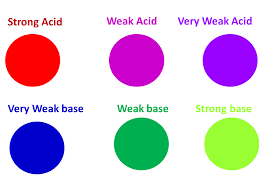 Natural Indicators Bush Tucker Chemistry