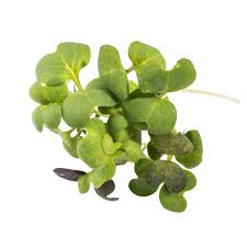 Brotes De Mostaza 30gr Zgreens