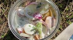 Resultado de imagen para "Los picnics de Amanda"