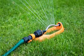 Spread and rake the seed into the soil so it is lightly covered. 5 Best Sprinklers 2021 Review This Old House