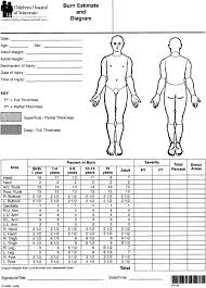 62 Interpretive Wound Chart Template