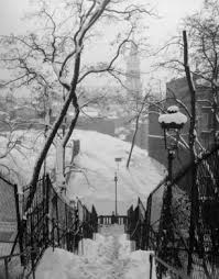 Panthera uncia • léopard des neiges, once, irbis. Menilmontant Escalier Du Passage Piat Sous La Neige Vers La Rue Des Couronnes Au Fond L Eglise Notre Da Paris Sous La Neige Photo Vintage Et Paris Photo