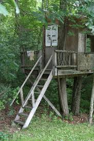 How to make a simple treehouse. Stairs With Railing Treehouse Stairs By Bernard Farrell Via Flickr Tree Tree House Designs Tree House