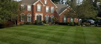 Trugreen lawn care ⭐ , united states, wixom, 48932 wixom tech dr: Lawn Fertilizer And Weed Control 100 Guaranteed Results Not Trugreen