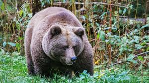 Ayha Khalaf commands the screen with her fierce self-love – a powerful display of female desire.