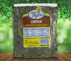 Image result for Crotalaria torrei