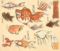 花日和 畳 on twitter goldfish art japanese art fish art