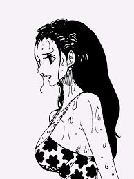 Pin On One Piece