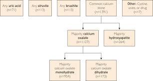 Stone Composition Among First Time Symptomatic Kidney Stone Formers In The Community Mayo Clinic Proceedings
