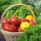 Barker's Island Farmers' Market event image