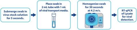 Steps of polymerase chain reactions (pcr). A Novel Two Step Direct To Pcr Method For Virus Detection Off Swabs Using Human Coronavirus 229e Virology Journal Full Text