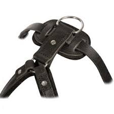 Harnais Confort Pour Chien Promenade Entrainement Harnais En Cuir Harnais Harnais Chien