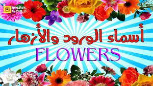 أسماء أجمل الورود و الزهور بالعربية و الانجليزية name of the most beautiful flowers youtube