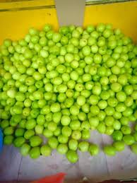 Sementara daunnya dapat dimanfaatkan sebagai sayuran atau sebagai pakan ternak. 1kg Buah Bidara Segar Buah Bidara Rangup Shopee Malaysia
