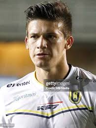 299 Chilean Universidad De Concepcion Stock Photos, High-Res Pictures, and  Images