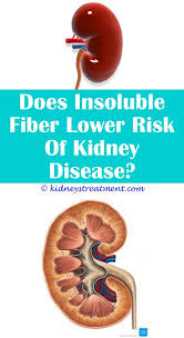 Big Kidney Stones Kidney Disease Recipes Kidney Disease Symptoms Kidney Disease
