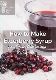 I accidentally dumped in twice the amount of dried great recipe and standard for elderberry syrup. How To Make Elderberry Syrup From Fresh Elderberries The Safe Way
