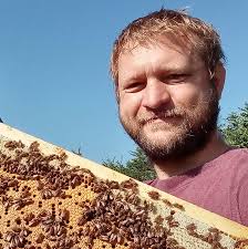 Honey bee removal service in Warner Robins