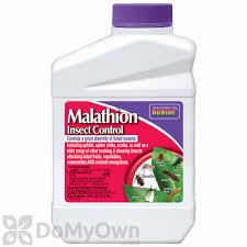 Bonide Malathion 50e Concentrate