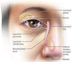 Why Is It That When I Pinch My Nose And Blow Through It I Can Blow Air Out Of My Eye Quora