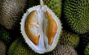 Apr 02, 2015 · penetapan lokasi pelabuhan gane dalam di desa gane dalam kecamatan gane barat kabupaten halmahera selatan provinsi maluku utara. 6 Cara Paling Rare Hilangkan Bau Durian Pada Kereta Tak Ada Bau Langsung Remaja
