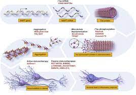 Alzheimer S Disease Drug Development Pipeline 2018 Sciencedirect
