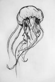 Maybe you would like to learn more about one of these? Pin By Laura Wilsey On Secret Jellyfish Drawing Pencil Drawings Of Animals Jellyfish Art