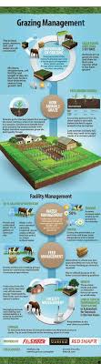 Check Out The Webpage To Read More About Draft Horse Please Click Here To Read More Viewing The Website Is Worth Your Time Horse Farms Horse Health Farm