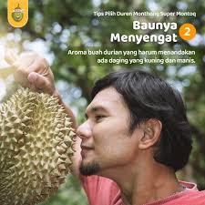 MONTONG MUSANGKING PREMIUM