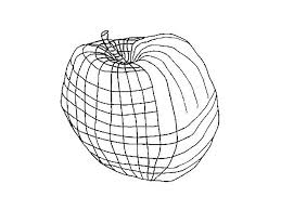 Very often an actual object will create a line such as s tree, a railroad track or telephone wires. An Example Of Cross Contours In Two Directions